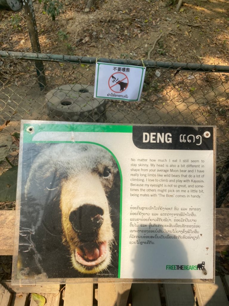 deng the bear laos