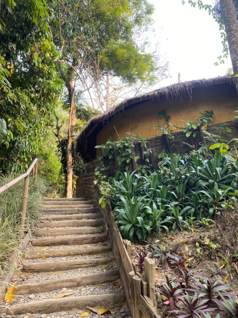 stairs to butterfly park