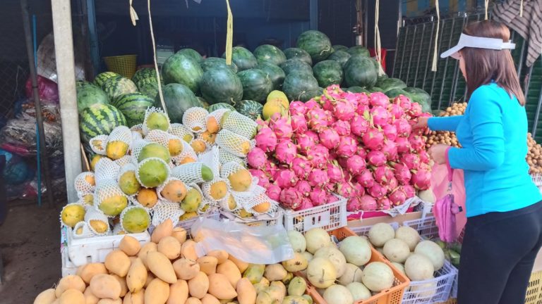 dragon fruits in laos