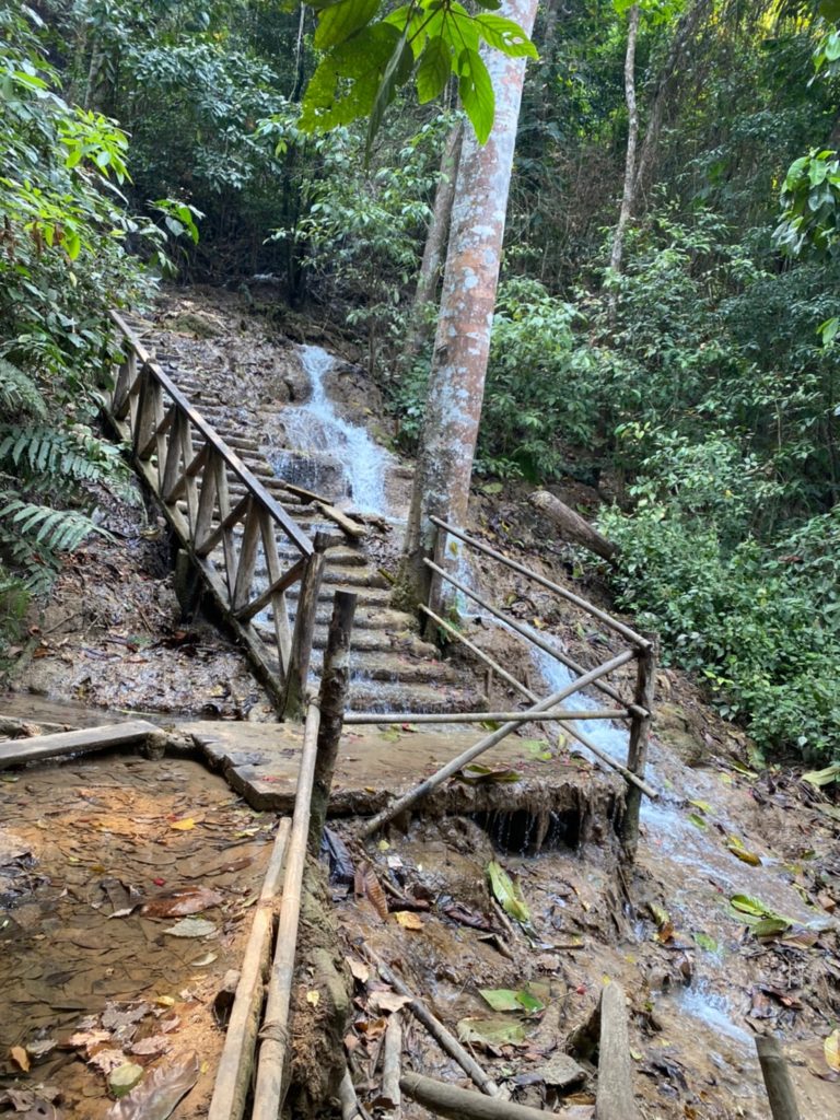 wooden stairs by creek