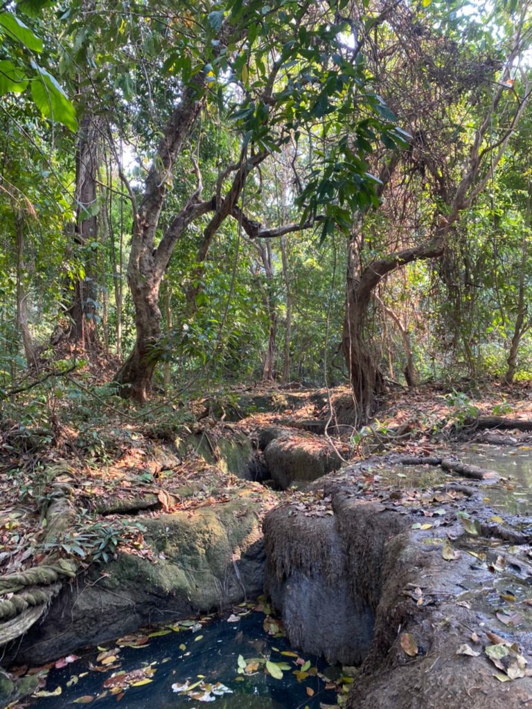 luang prabang trekking