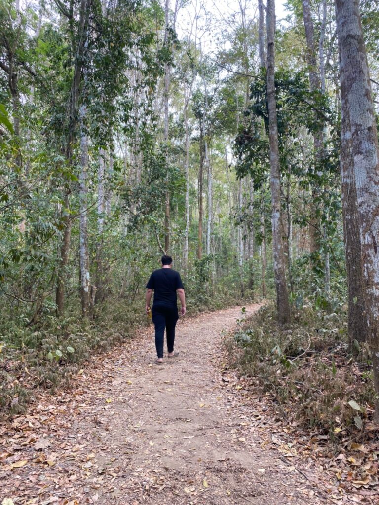 jungle luang prabang