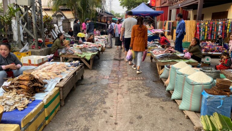 luang prabang morning market