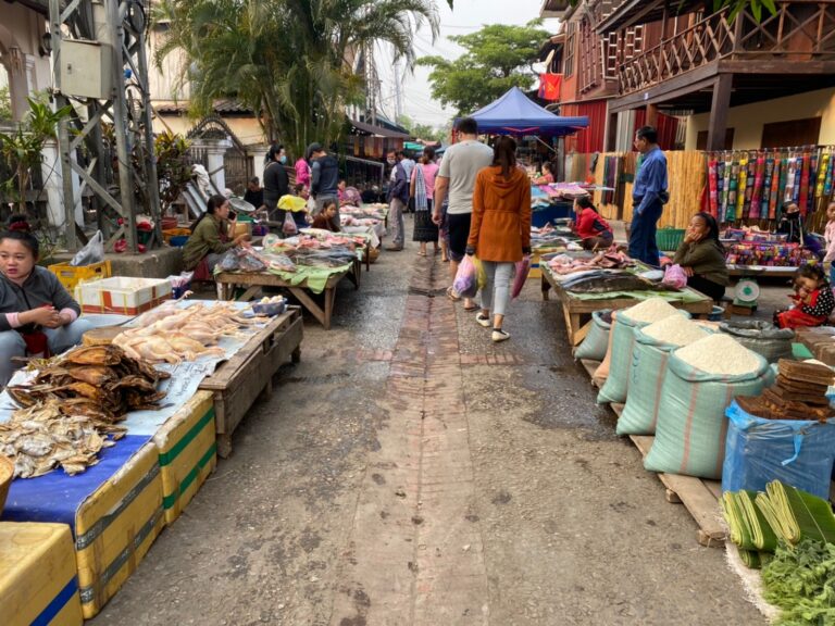 luang prabang morning market