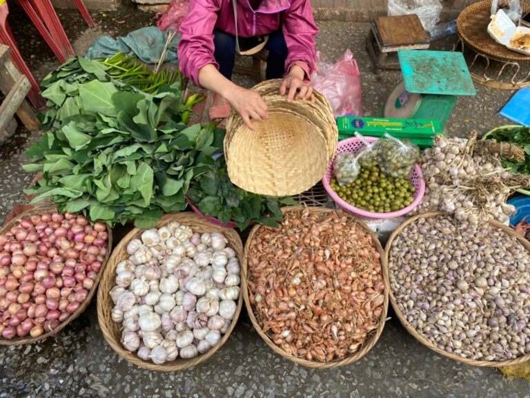 morning market vegetable and spices