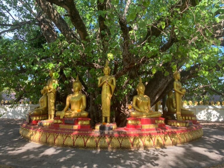 buddha sculptures laos