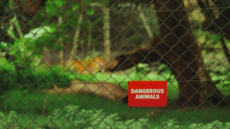 sign dangerous animals