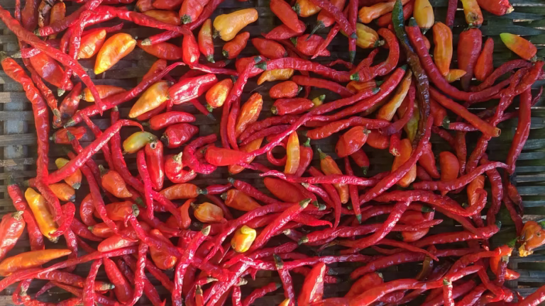 spicy chilies