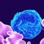 Malaria in Laos – a story of progress and improvement