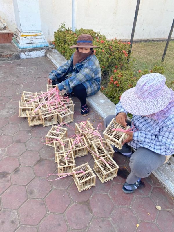 bird sellers vientiane