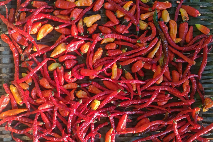 lots of chilies spicy chilies