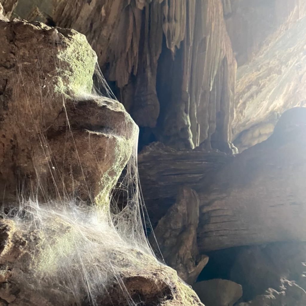 spiderwebs pha poung kham cave